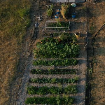 Gardening Methods
