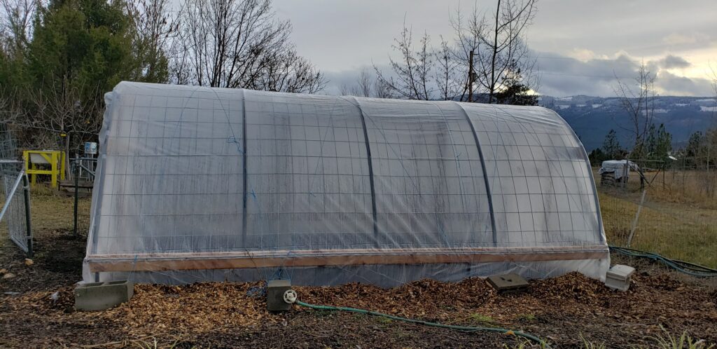 Finished Cattle Panel Greenhouse